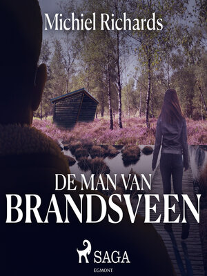 cover image of De man van Brandsveen